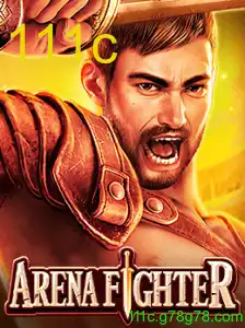 ArenaFighter